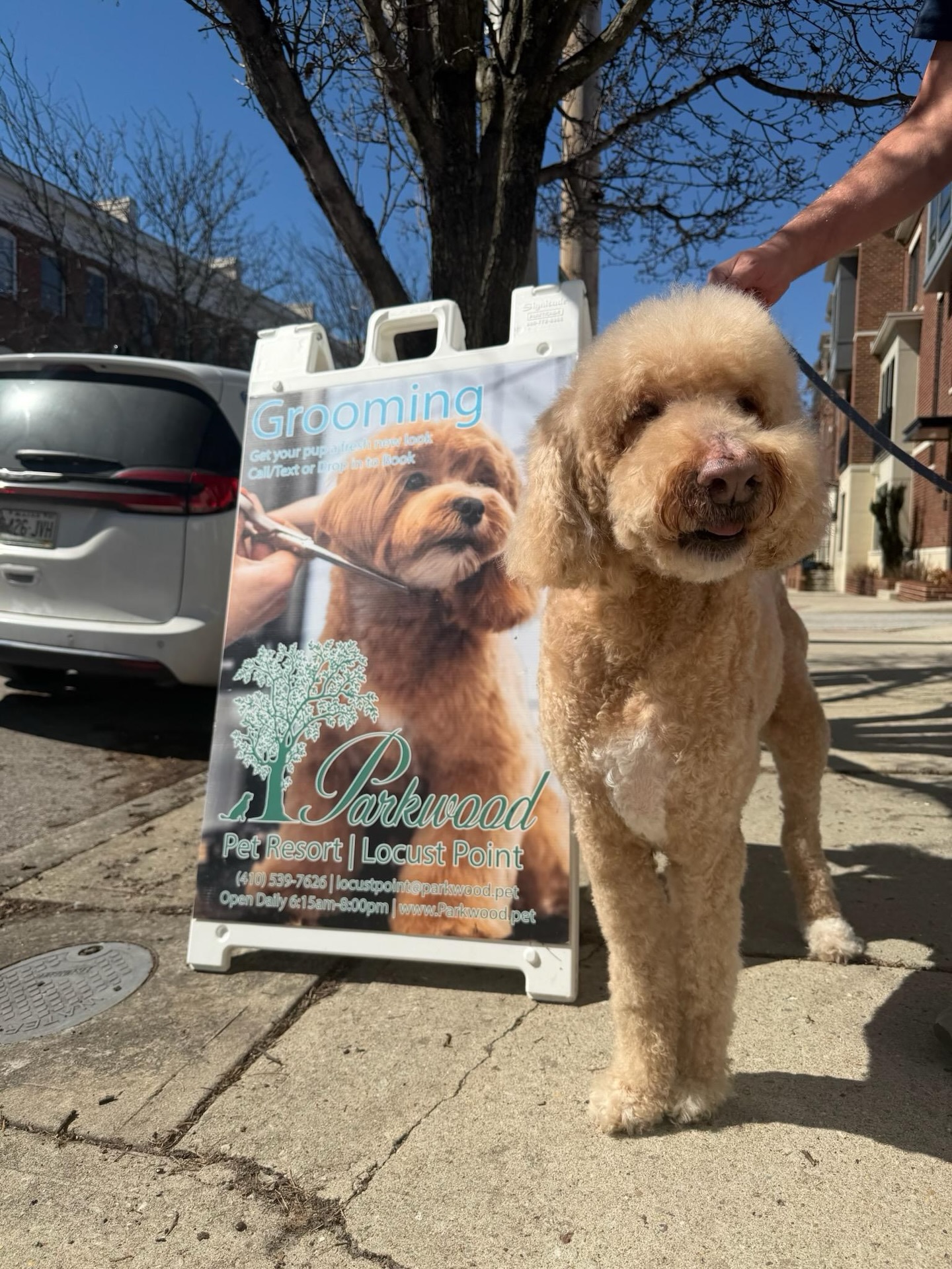 A freshly groomed dog beside a Parkwood grooming sign