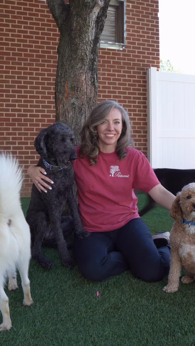 A Parkwood team member with dogs