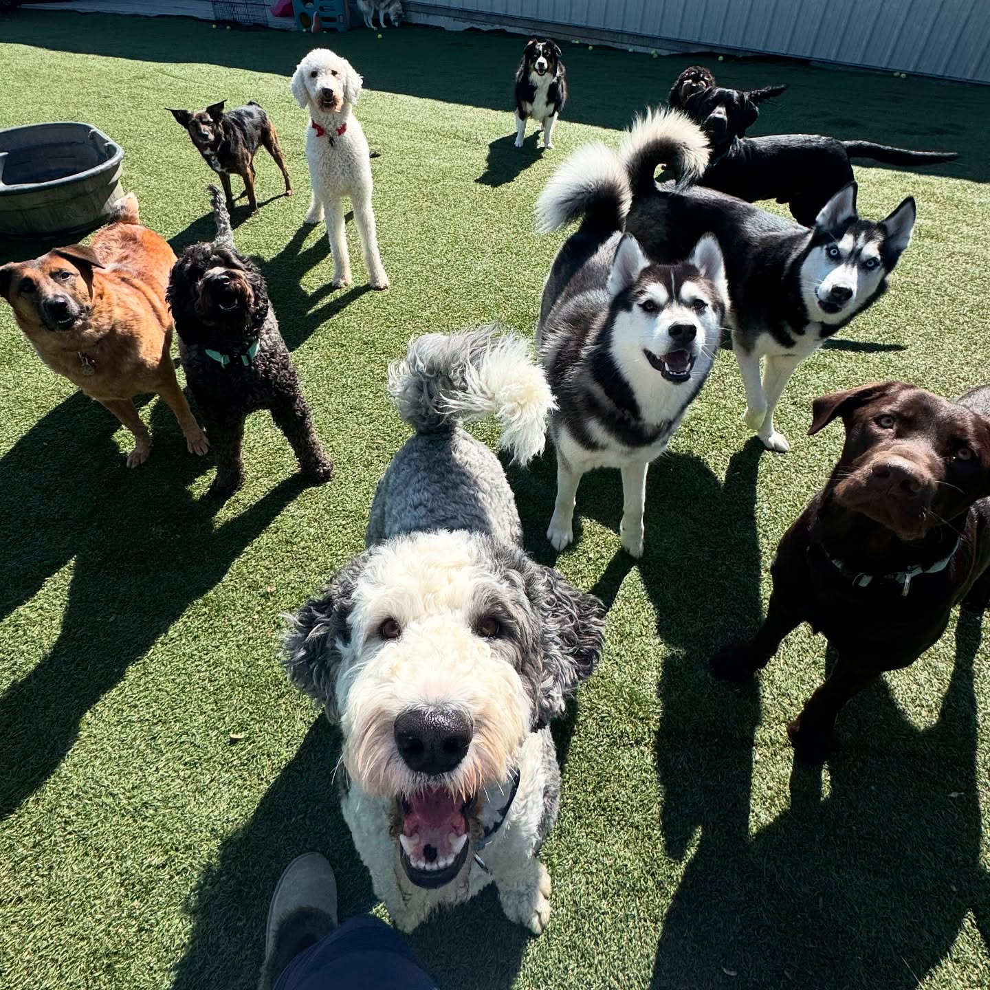 A cheerful Parkwood West playgroup looking up at the camera