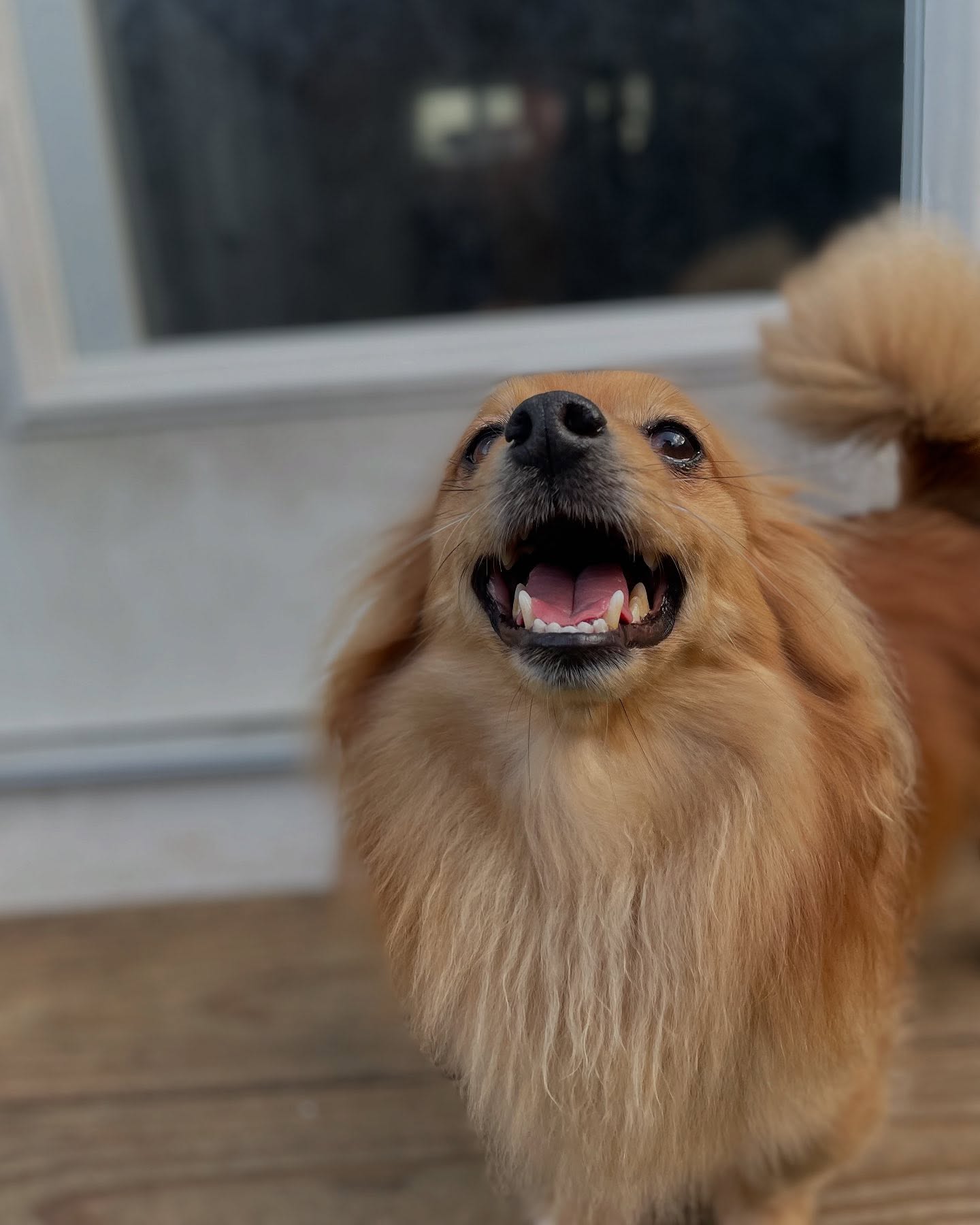 A happy Parkwood West guest smiling for the camera