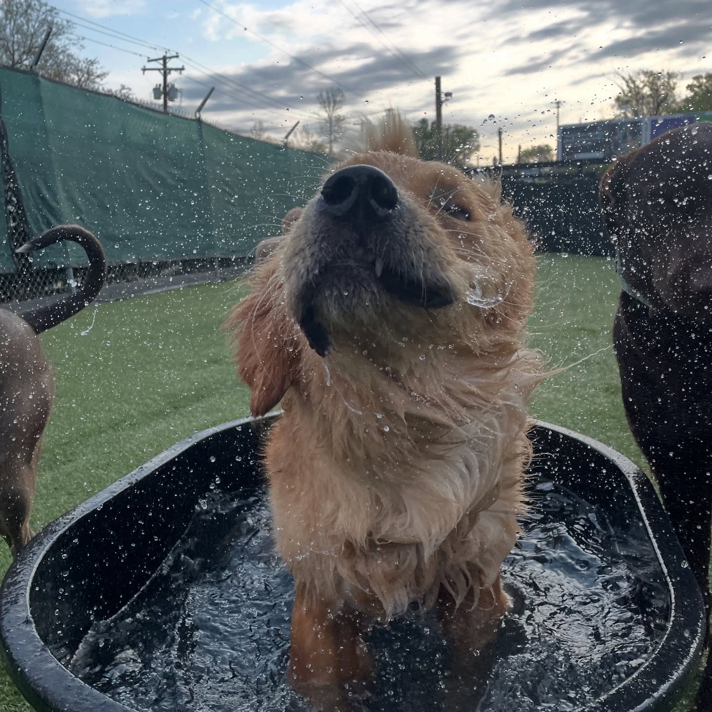 A Parkwood West guest cooling off during water play