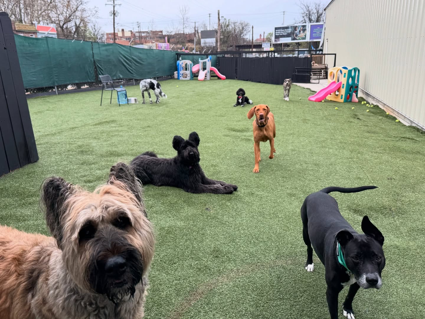 Parkwood West guests welcoming the camera into their play yard