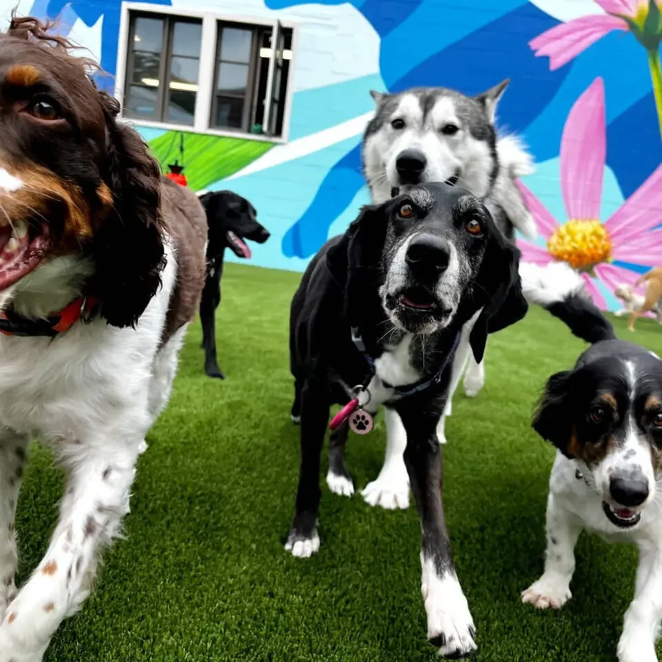 A happy playgroup in front of the Locust Point mural