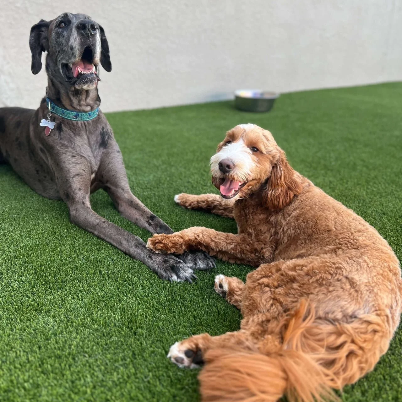 Two friends relaxing together at Parkwood Locust Point