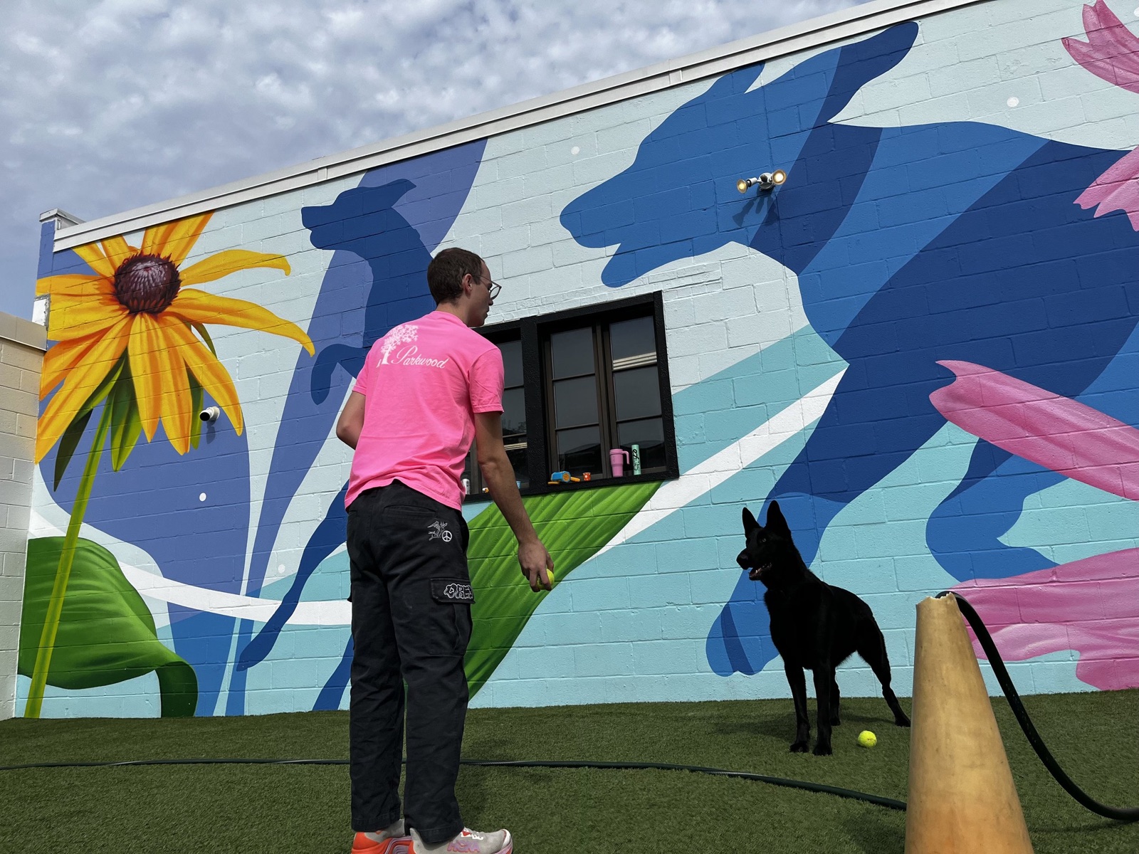 A team member playing fetch with a shepherd in front of the Locust Point mural