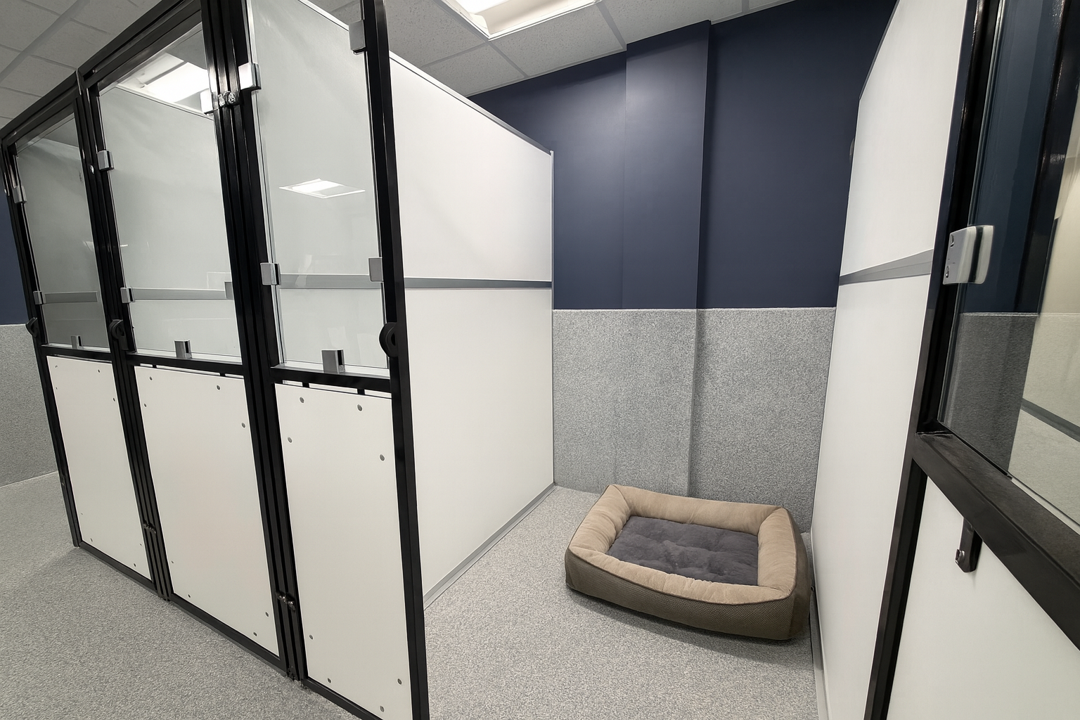 A spacious private overnight room at Parkwood Pet Resort